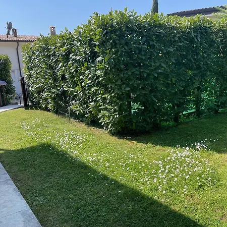 Apartamento Collina Degli Olivi *