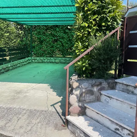 Collina Degli Olivi