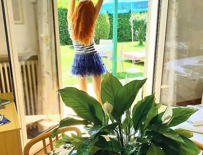 Collina Degli Olivi Bardolino