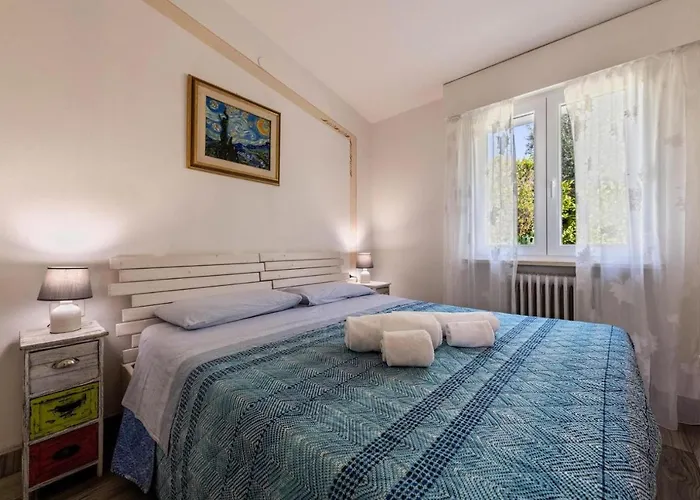 Collina Degli Olivi *