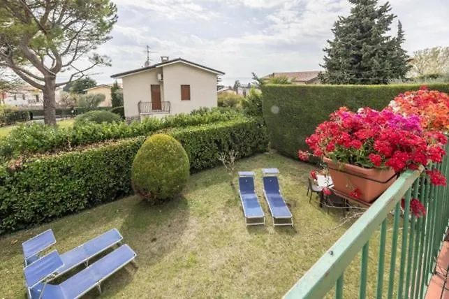 Collina Degli Olivi *