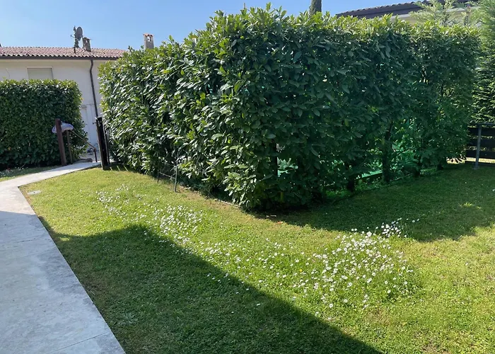 Daire Collina Degli Olivi *